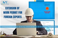 Issuing a new work permit for an foreign expert employed in Vietnamese enterprise