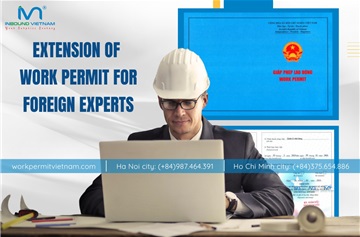 Issuing a new work permit for an foreign expert employed in Vietnamese enterprise